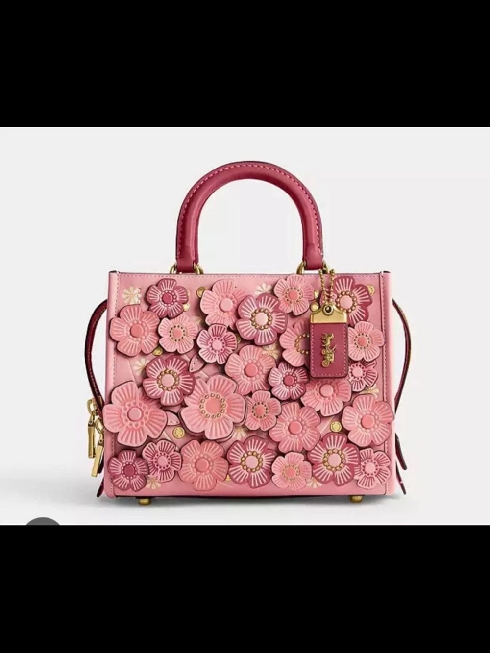 ISO COACH ROUGE 25 TEA ROSE BUBBLEGUM